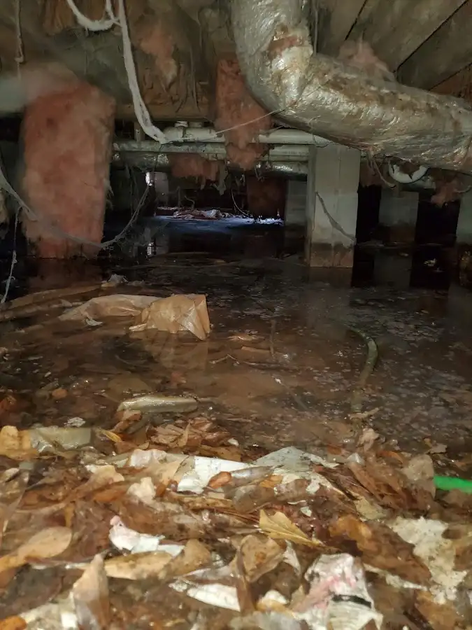 Crawl space flood assessment for Commercial Water Damage Restoration in South Monrovia Island